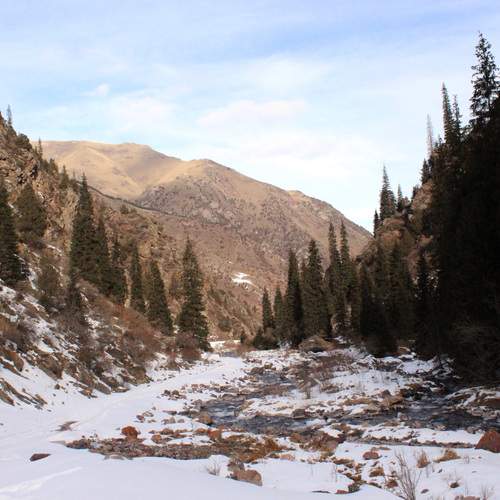 Photo #11925704