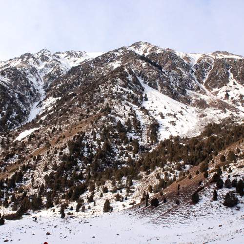 Photo #11925725