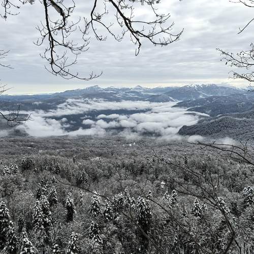Photo #11925850