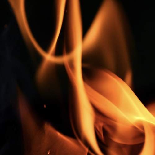 Photo #11925949