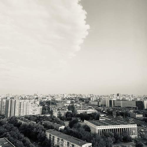 Photo #11925991