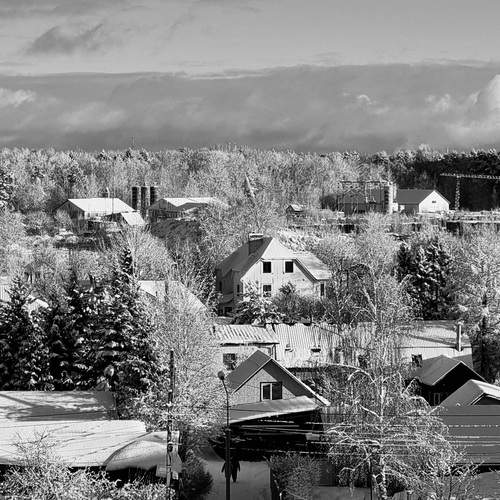 Photo #11925997