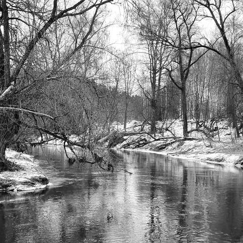 Photo #11925999