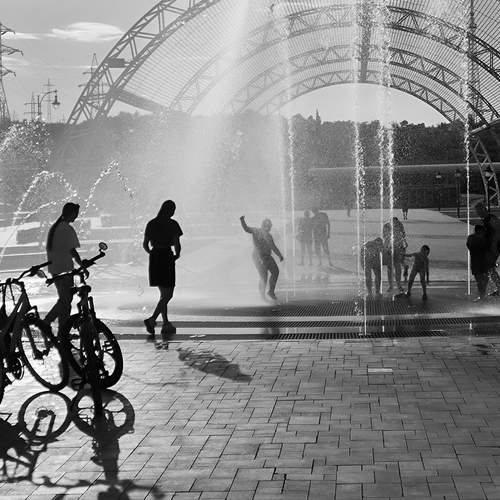 Photo #11926005