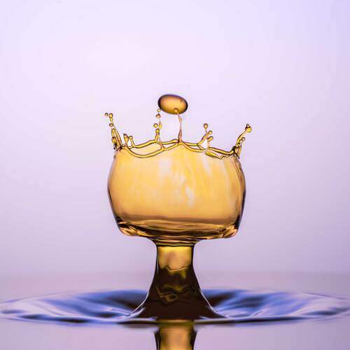 Фотография #11926033