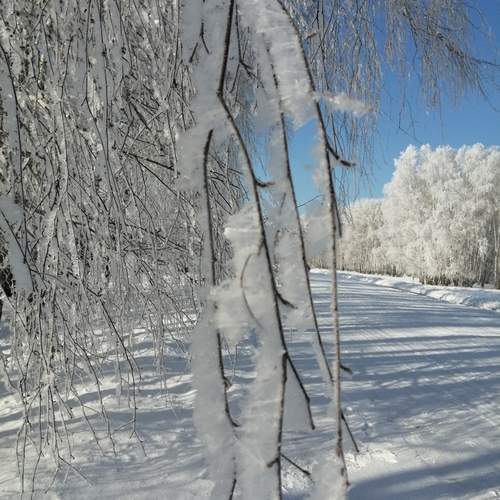 Photo #11926072