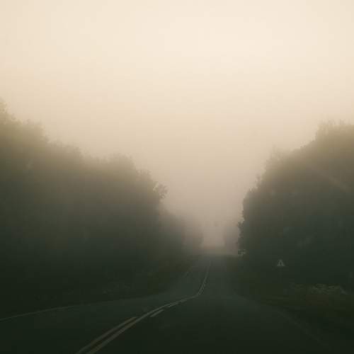 Photo #11926151