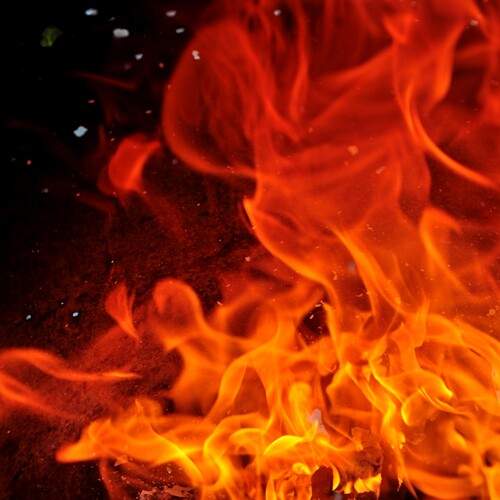 Photo #11926329