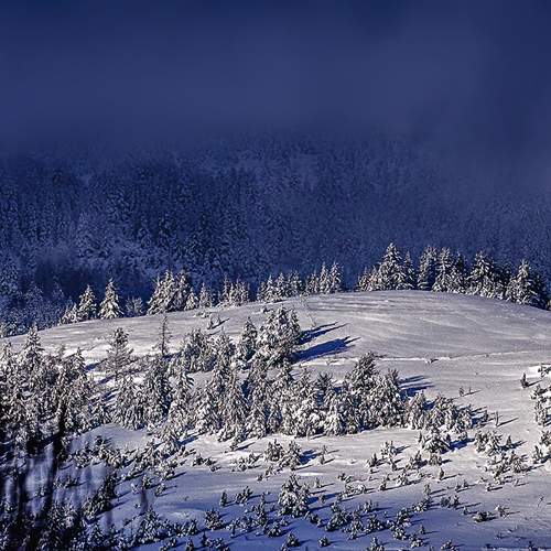 Photo #11926483