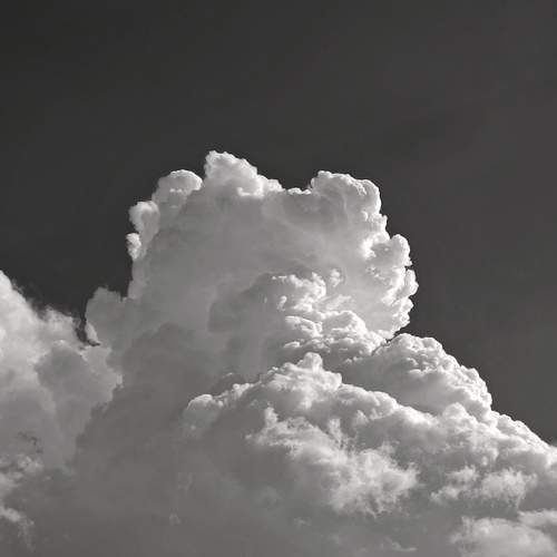 Photo #11926500