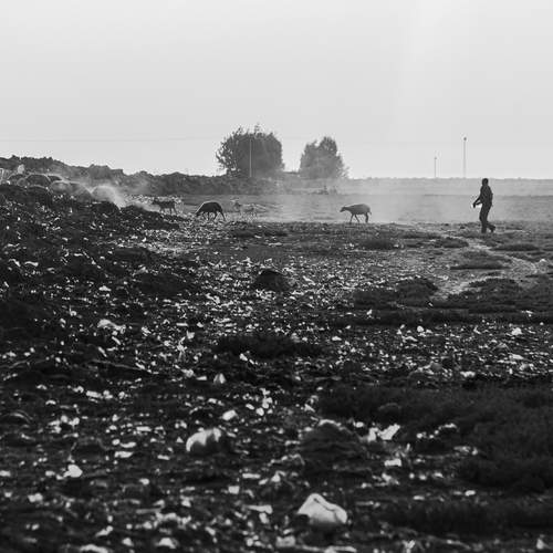 Photo #11926623