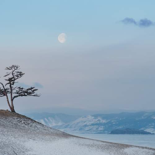 Photo #11926635