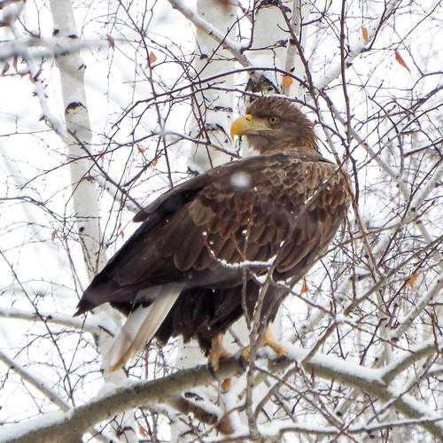Photo #11926664