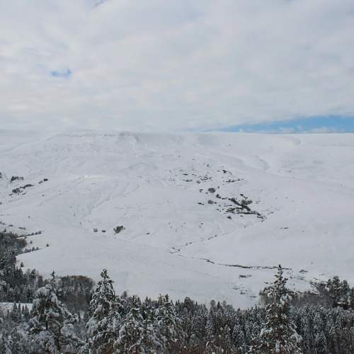 Photo #11926697