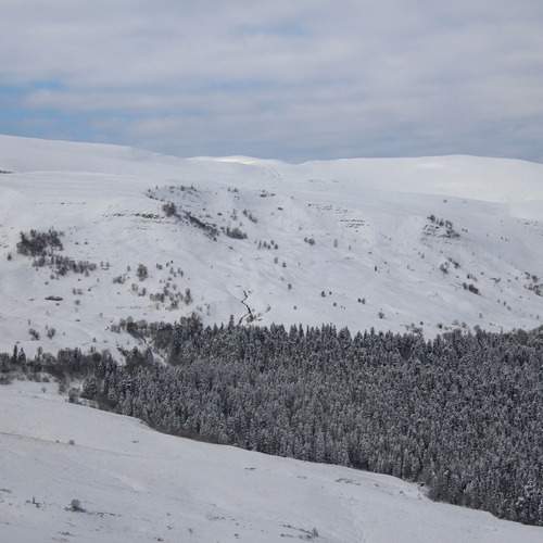 Photo #11926698