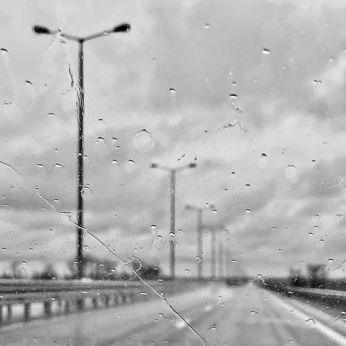 Photo #11926785