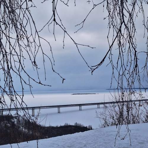 Photo #11926919
