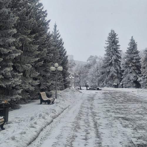 Photo #11926934