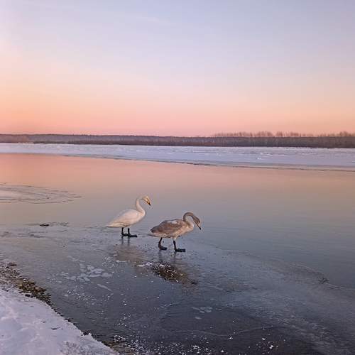 Photo #11926964