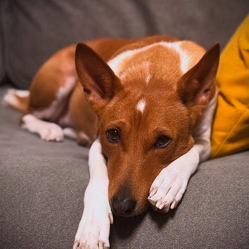 Photo #11927008
