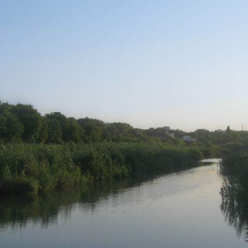 Photo #11927362