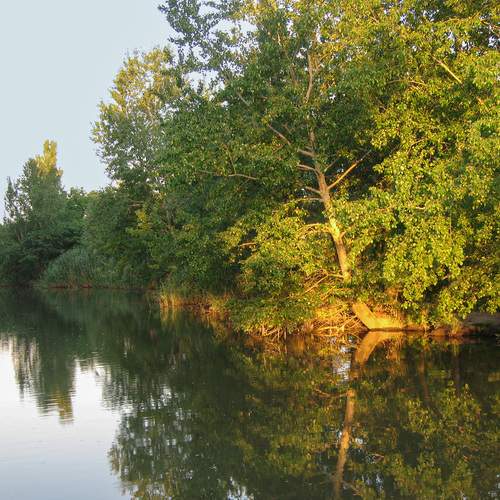 Photo #11927370