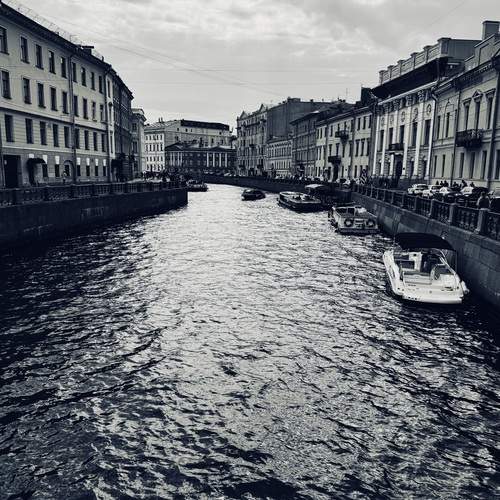 Photo #11927381