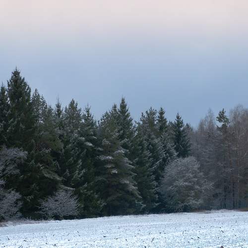 Photo #11927389