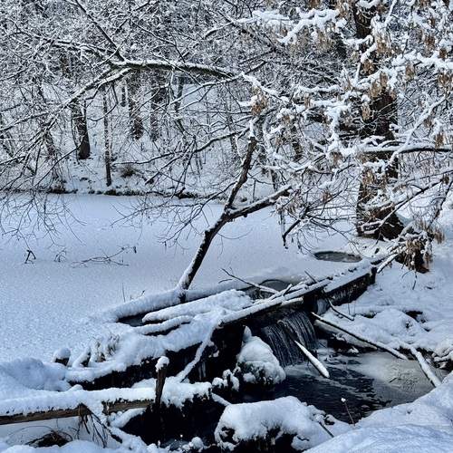 Photo #11927499