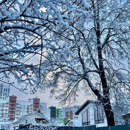 Photo #11927501