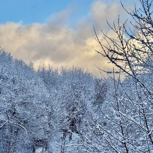 Photo #11927502