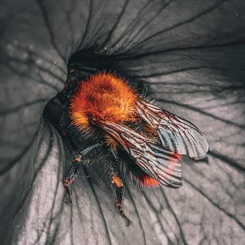 Photo #11927754