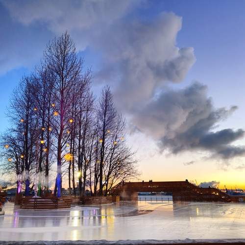 Photo #11927761