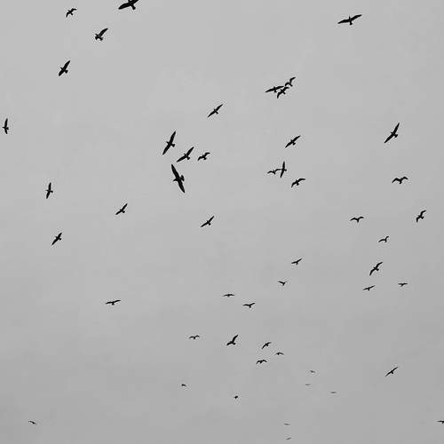 Photo #11927944