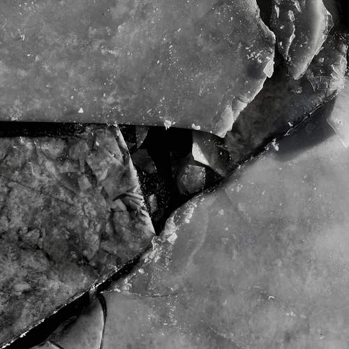 Photo #11928068