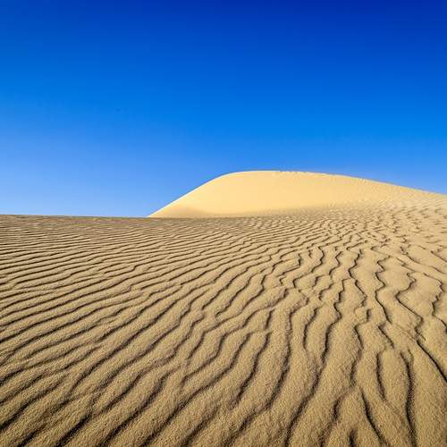 Photo #11928088