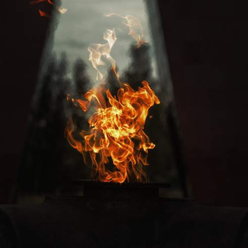 Photo #11928148