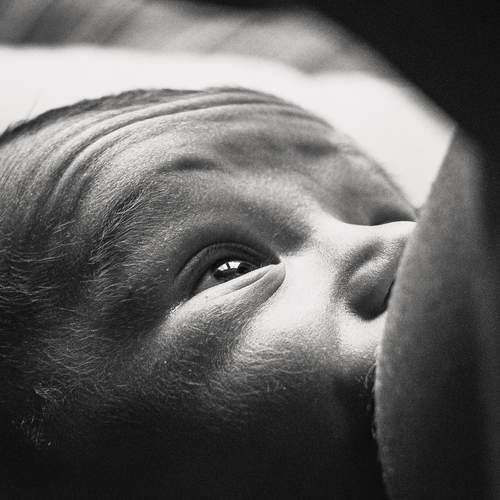 Photo #11928320