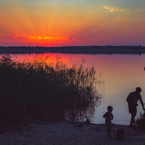 Photo #11928362