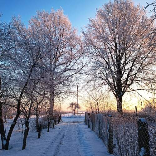 Photo #11928376