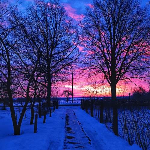 Photo #11928382