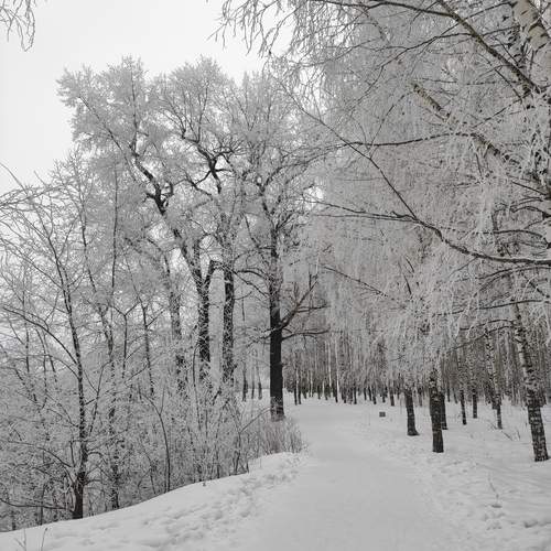 Photo #11928518