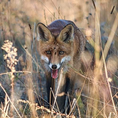 Photo #11928561