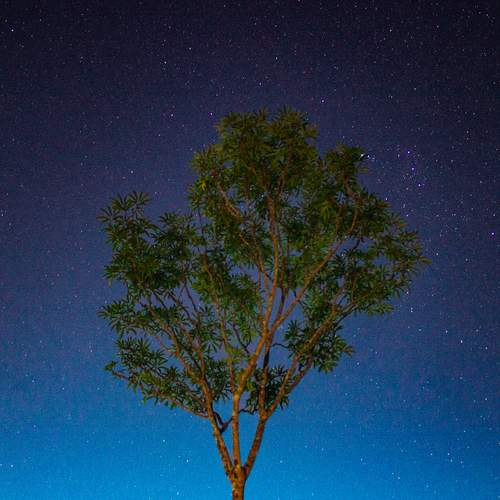 Photo #11928575
