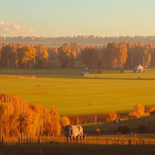 Photo #11928682
