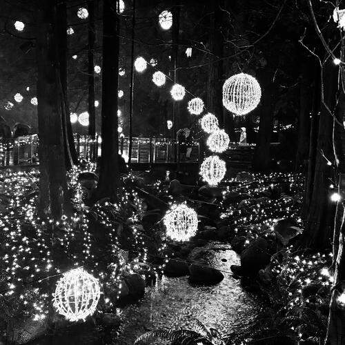 Photo #11928771