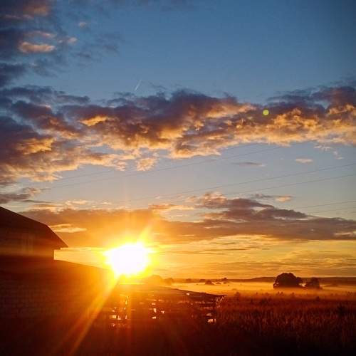 Photo #11928917