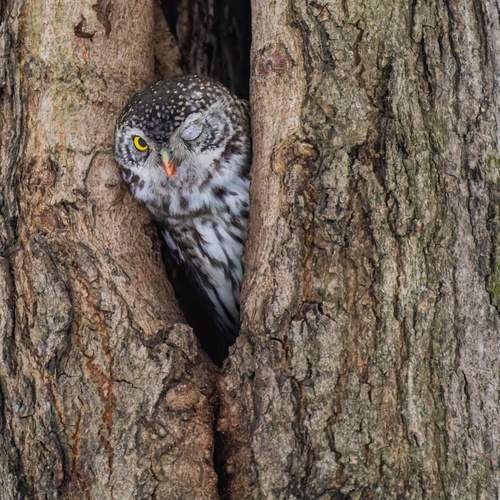 Photo #11928939