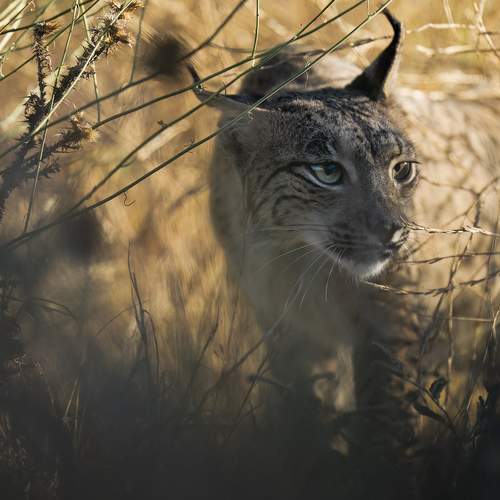 Фотография #11929350