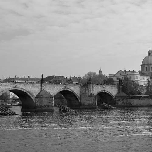 Photo #11929576